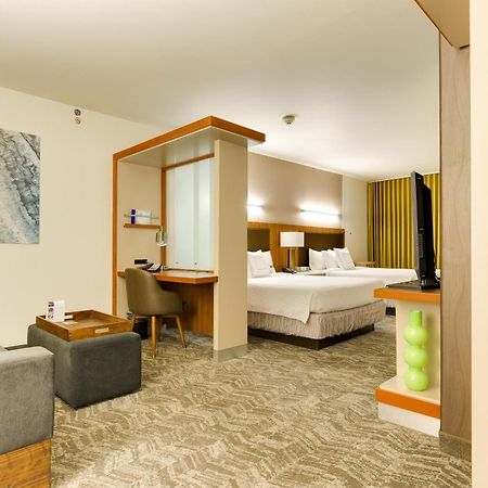 Springhill Suites By Marriott Mcallen Convention Center Exteriér fotografie